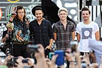 Harry Styles, Liam Payne, Niall Horan and Louis To