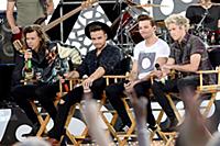 Harry Styles, Liam Payne, Niall Horan and Louis To