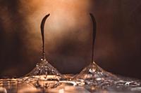 Two dandelion parachutes in the water