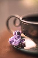 Lilac flower lies on a saucer next to the cup
