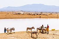 Samburu women gathering water, Westgate Community 