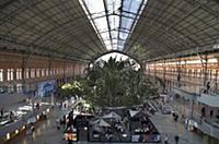 Spain, Madrid, The botanical garden inside the ter