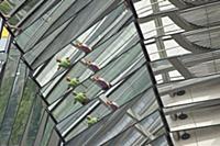 Germany, Berlin, Mitte, Reichstag building with gl