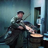 Кадр из фильма «Ты - мне, я - тебе», (1976). На фо