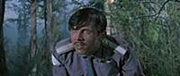 Кадр из фильма «Хозяин тайги», (1968). На фото: Ва