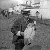 Кадр из фильма «Золотой теленок», (1968). На фото: