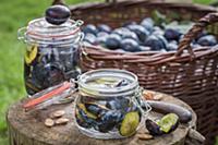 Preserved plums in a preserving jar on a tree stum