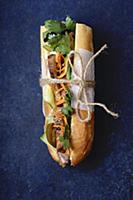 Classical banh-mi sandwich with grilled pork tende