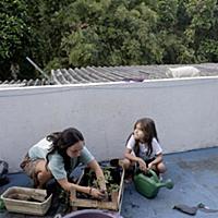 Brazil / Rio de Janeiro / Kitchen Garden / 2015 / 