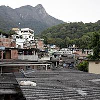 Brazil / Rio de Janeiro / Kitchen Garden / 2015 / 