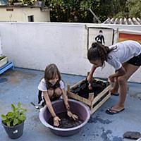 Brazil / Rio de Janeiro / Kitchen Garden / 2015 / 
