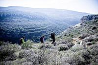 Israel / 2014 / Climbing in Israel / Way to the cl