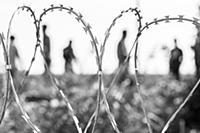 HUNGARY / Roeszke / 13.09.2015 / Up to 10000 migra