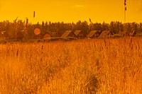 Agricultural landscape with cottages in warm tone.
