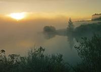 Foggy shores of pond lighted with early sun beams
