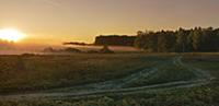 Morning meadow panorama with wild roads. Foggy lan