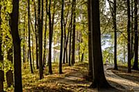 Золотая осень в парке Царицыно, Москва