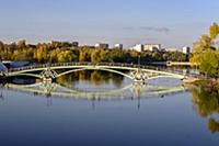 Золотая осень в парке усадьбы Царицыно.