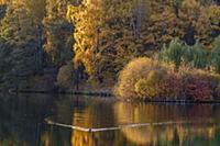Осенний вечер в парке Царицыно, Москва.