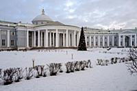 Дом графа Шереметева, в настоящее время Институт и