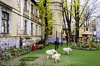 Кривоколенный переулок, дом 5.