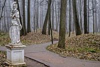 Туманное осеннее утро в Царицынском парке.