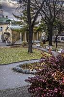 Сад музея им. Пушкина. Россия, Москва.
