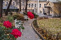 Сад музея им. Пушкина. Россия, Москва.