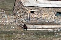 Пастух. Армения.