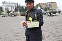 Новосибирск 2015.