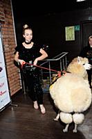 Царский Цирк Анны Кранц. День рождения Дианы Бичар